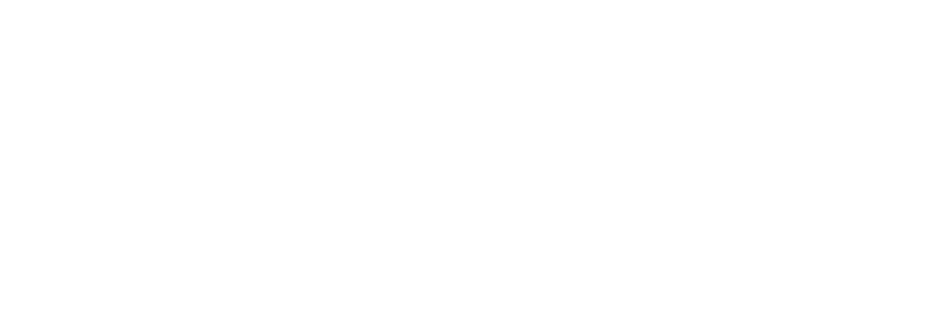 Flip's white logo